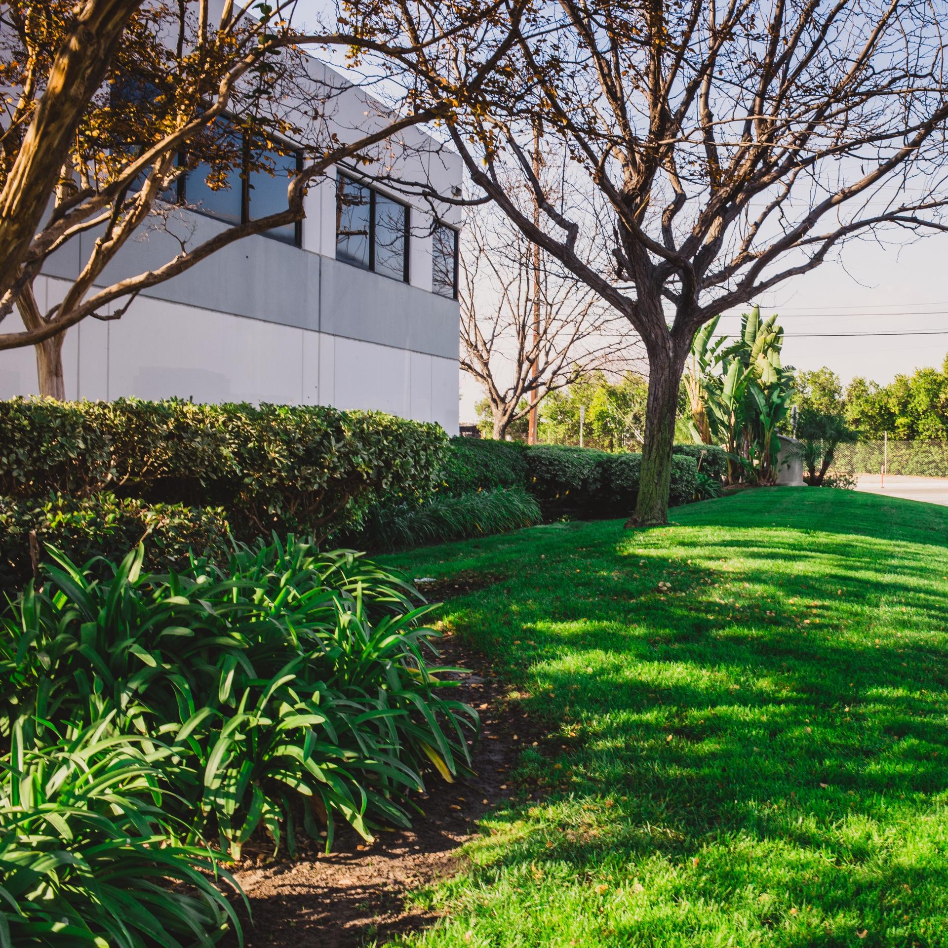 Home CLS Landscape Mgmt Inc